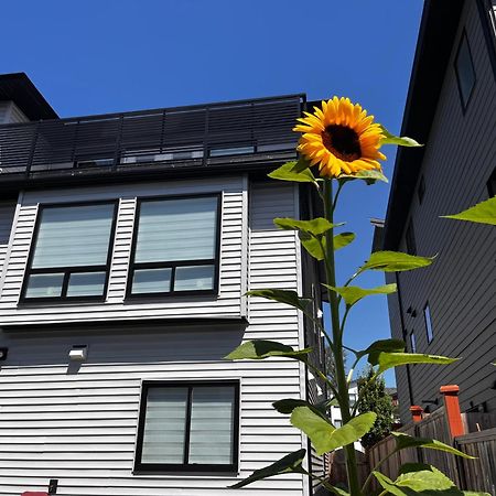 New, Spacious 2 Bedrooms In Downtown With Free Parking! Maple Ridge Экстерьер фото