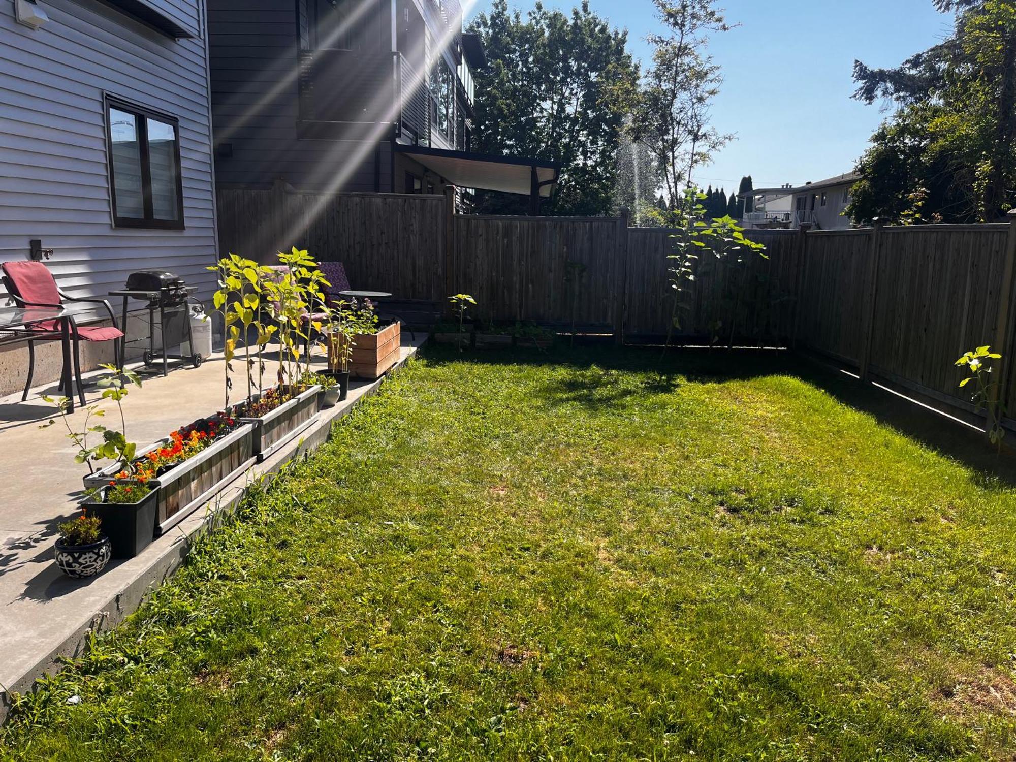 New, Spacious 2 Bedrooms In Downtown With Free Parking! Maple Ridge Экстерьер фото